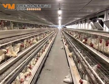 香港最快最准资料免费2022
